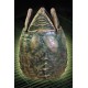 Alien Motion Activated Alien Storage Xenomorph Egg 53 cm